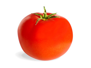 tomato 02
