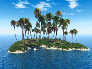 palm eiland