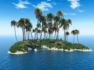 Keuken foto achterwand Eiland palm eiland