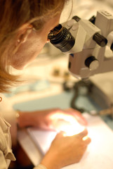 microscope 2
