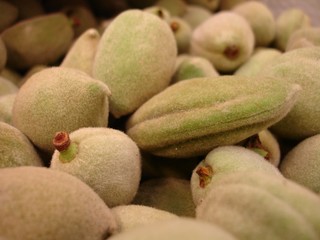 amandes vertes fraîches