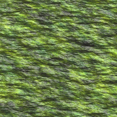 texture of wet moss and rock