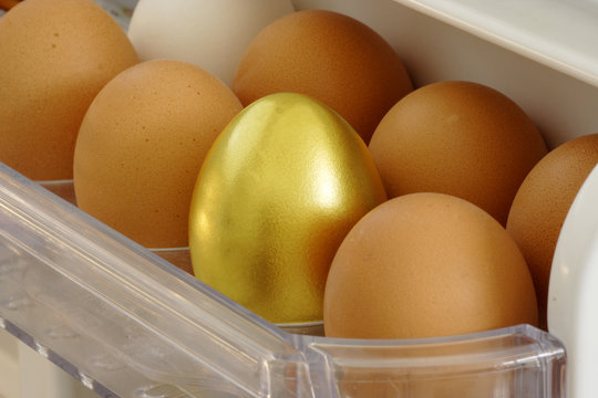 golden egg in between brown eggs