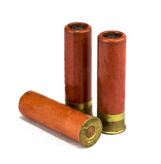 isolated shotgun shells