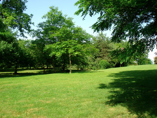 jardin