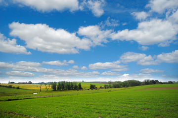 Fototapeta na wymiar gruntów rolnych z nieba i deszczu