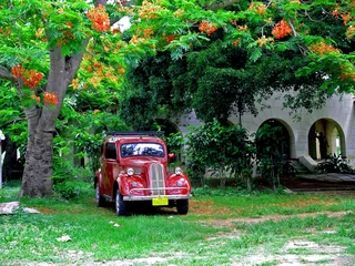 Afwasbaar Fotobehang Cubaanse oldtimers Cubaanse auto in de schaduw