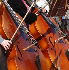 cellists