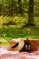 picnic in the park
