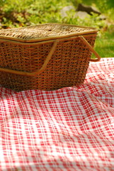 backyard picnic