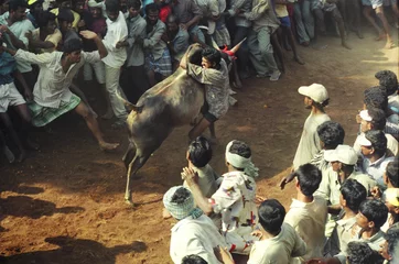 Papier Peint photo Tauromachie corrida 8