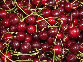 cherry