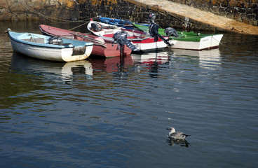 Obraz premium dans le port de ouessant