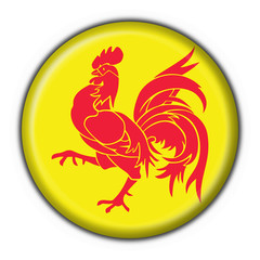 bottone bandiera wallonia wallonie button flag