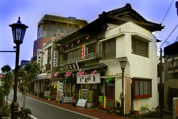 historic house on a street in japan