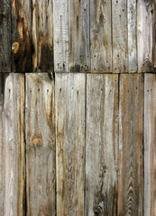 old boards. texture