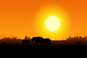Rolgordijnen Afrika © Nicola_Del_Mutolo