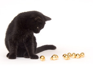 black cat playing with christmas ornaments