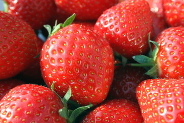 fresh strawberries