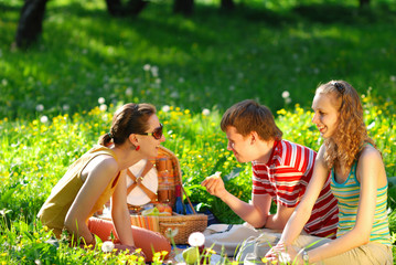 Fototapeta premium friends on picnic