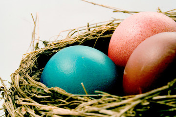 coloured eggs in a nest.