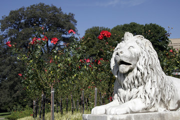 lion statue