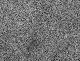 small pore lava background