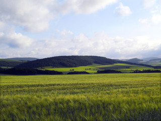 Obraz premium upland