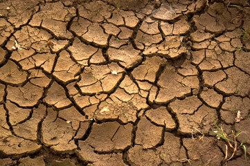 drought