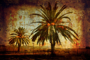 date palms lake puccini.