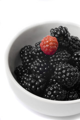 blackberries