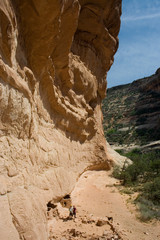 cedar mesa