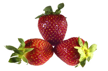 strawberry serie 1