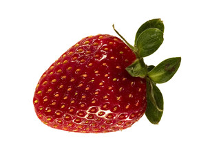 strawberry serie 2