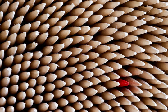 toothpicks serie 1
