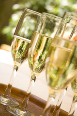 Glasses of Champagne