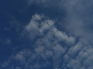cielo