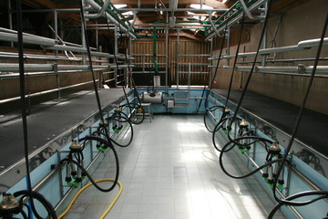 salle de traite