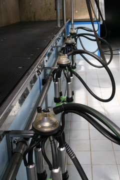 machine &agrave; traire