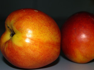 duo ...nectarines