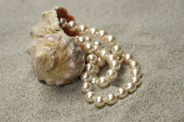 snail with pearls