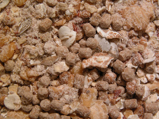 Makro, K&uuml;che, Lebensmittel, Gew&uuml;rze, Schokolade