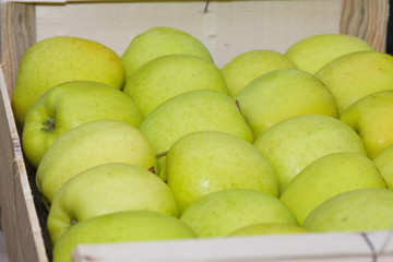 pomme