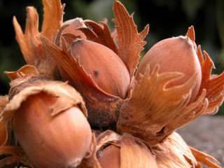 Makro, K&uuml;che, Lebensmittel, Gew&uuml;rze, Schokolade