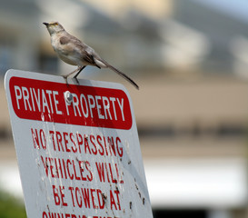 private property?