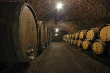 wine cellar