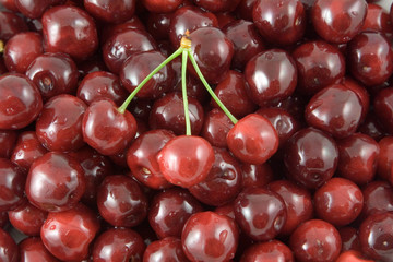 sweet cherry