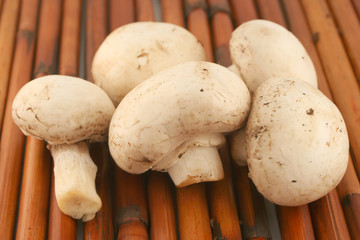 button mushroom closeup