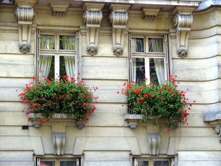 fenêtres jumelles fleuries, paris xvii