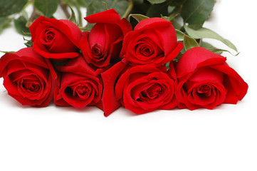 bunch of red roses isolated on white